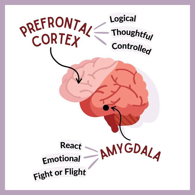 Instagram post by wethinktwice