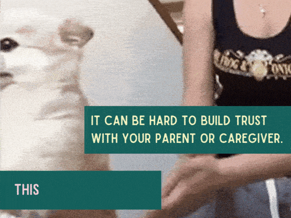 Dog trust fall - it can be hard to build trust with your parent or caregiver this quiz can help